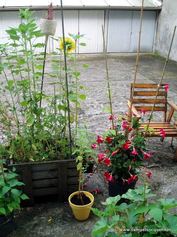 Photo 017 001